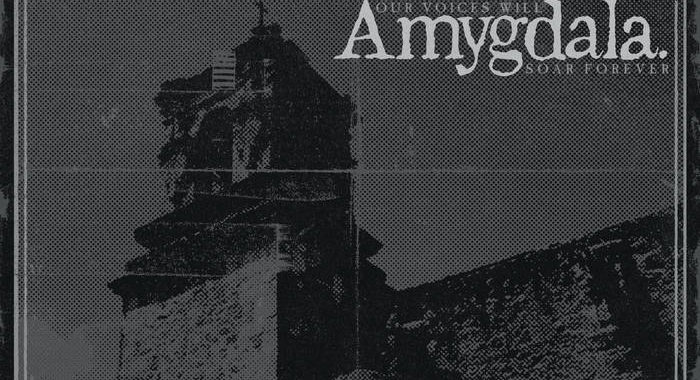 Amygdala’s Thrillingly Harsh New Heavy Punk Album Confronts Deeply Set Turmoil