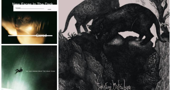 Three Utterly Wild Recent Releases You Should No Doubt Be Listening To