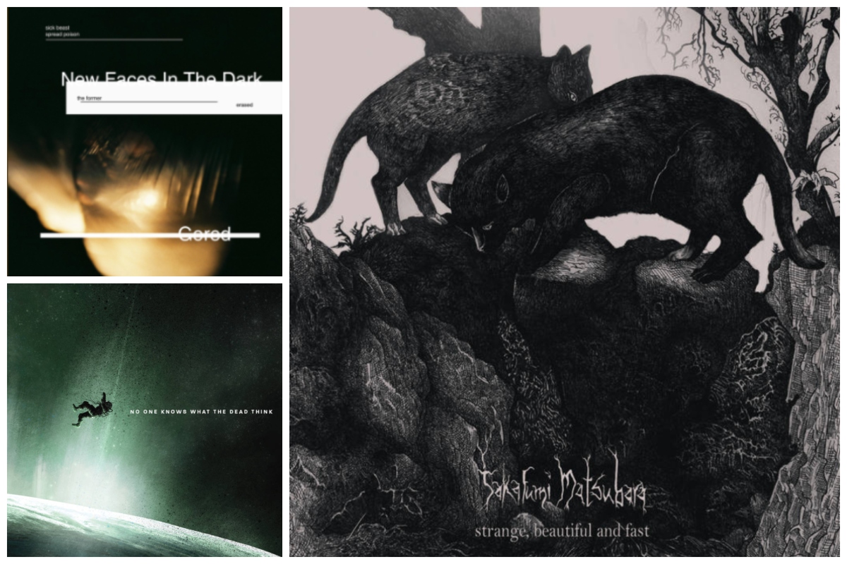 Three Utterly Wild Recent Releases You Should No Doubt Be Listening To