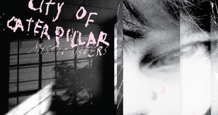 Kevin From City Of Caterpillar Discusses The Group’s Long-Awaited Return