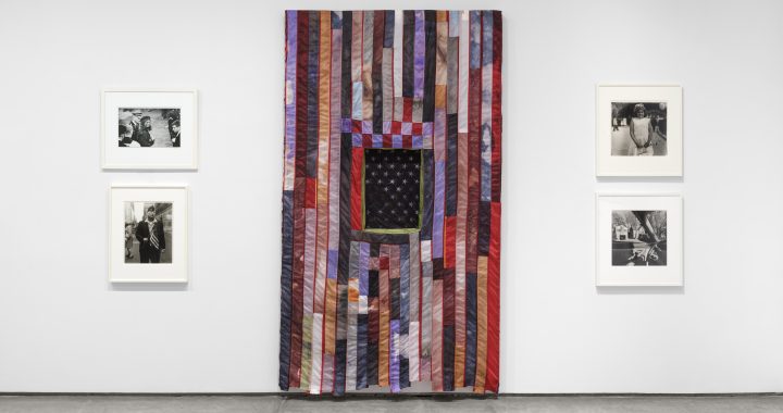 “Flags: A Group Show” at Paula Cooper Gallery, New York: Art Exhibition Review